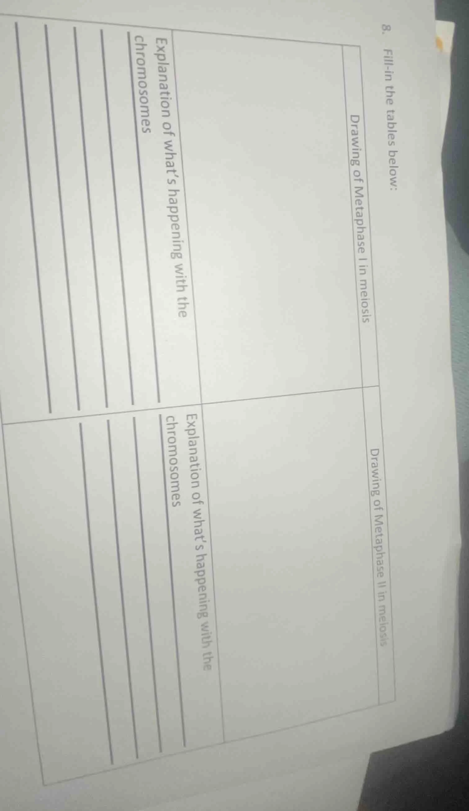 8. fill - in the tables below: |drawing of metaphase i in meiosis|expla…