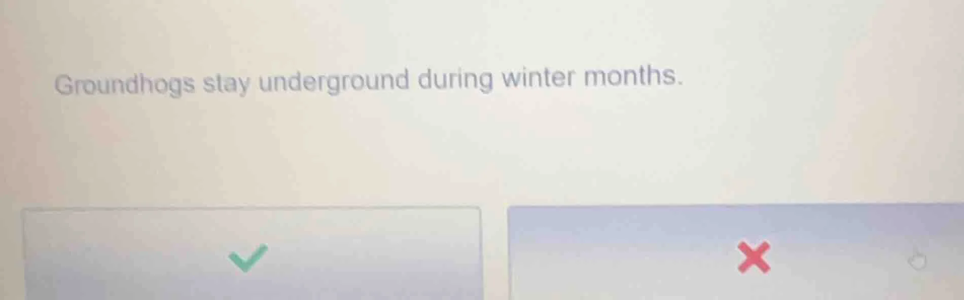 groundhogs stay underground during winter months.