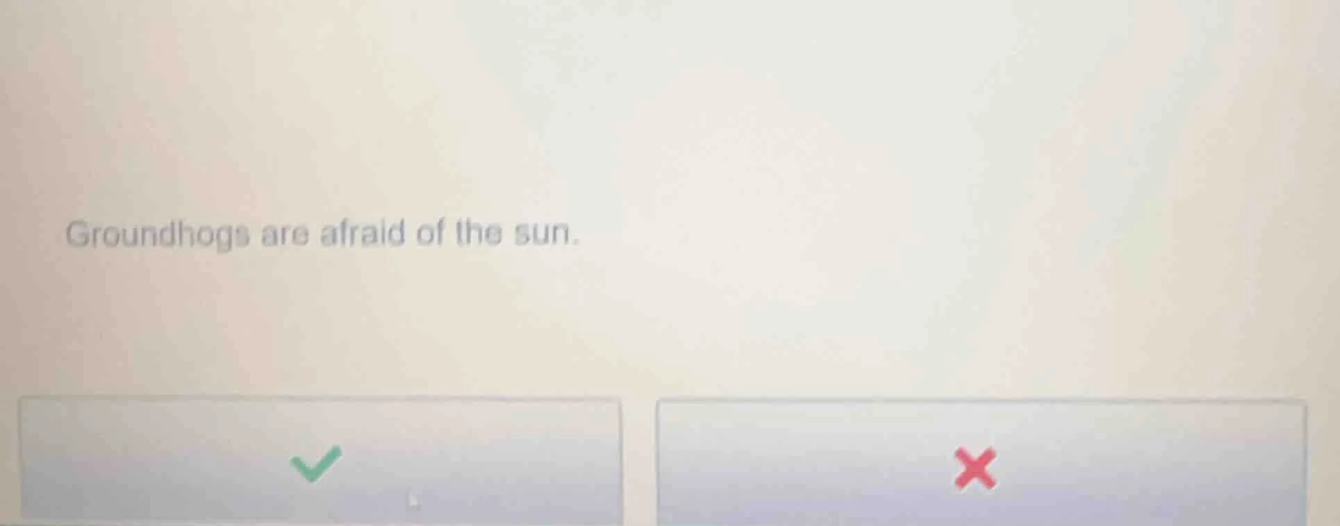 groundhogs are afraid of the sun.