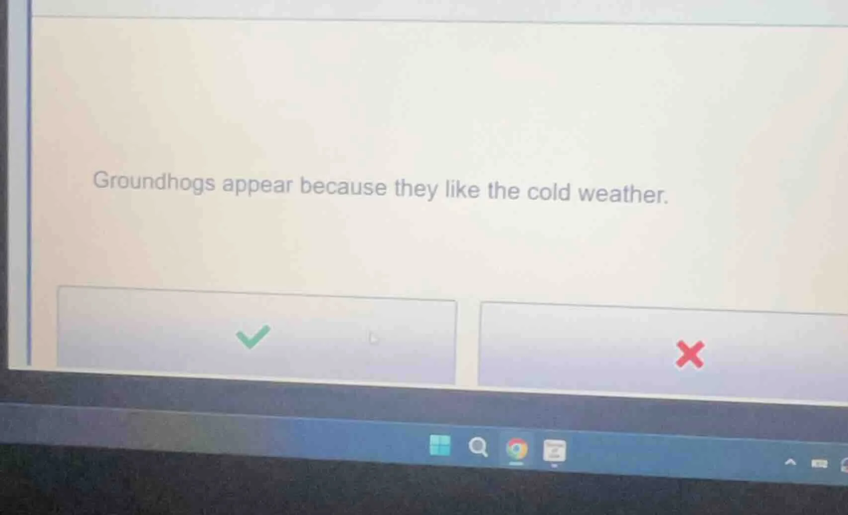 groundhogs appear because they like the cold weather.