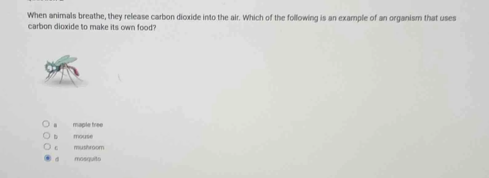 when animals breathe, they release carbon dioxide into the air. which o…