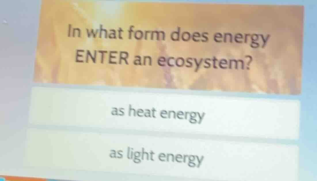 in what form does energy enter an ecosystem? as heat energy as light en…