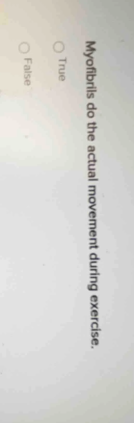 myofibrils do the actual movement during exercise. true false