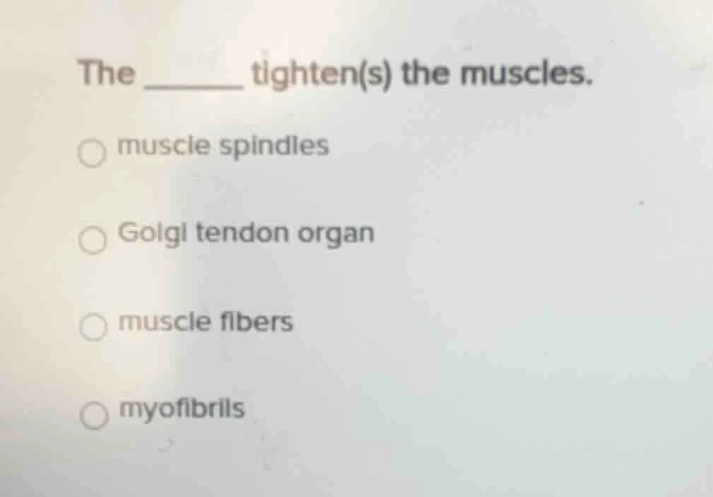 the ______ tighten(s) the muscles. muscle spindles golgi tendon organ m…