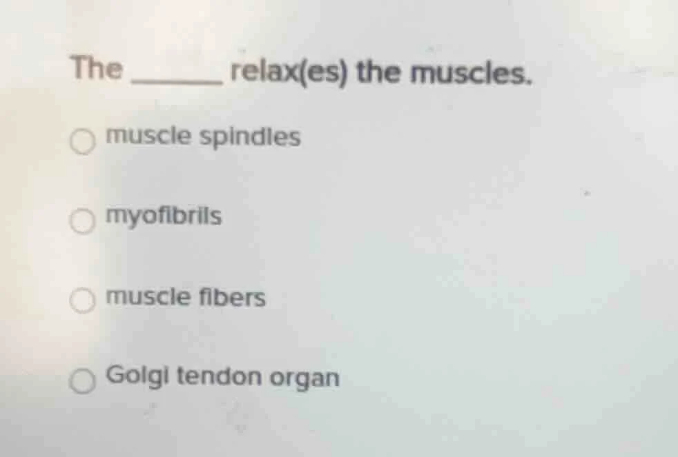 the ______ relax(es) the muscles. muscle spindles myofibrils muscle fib…