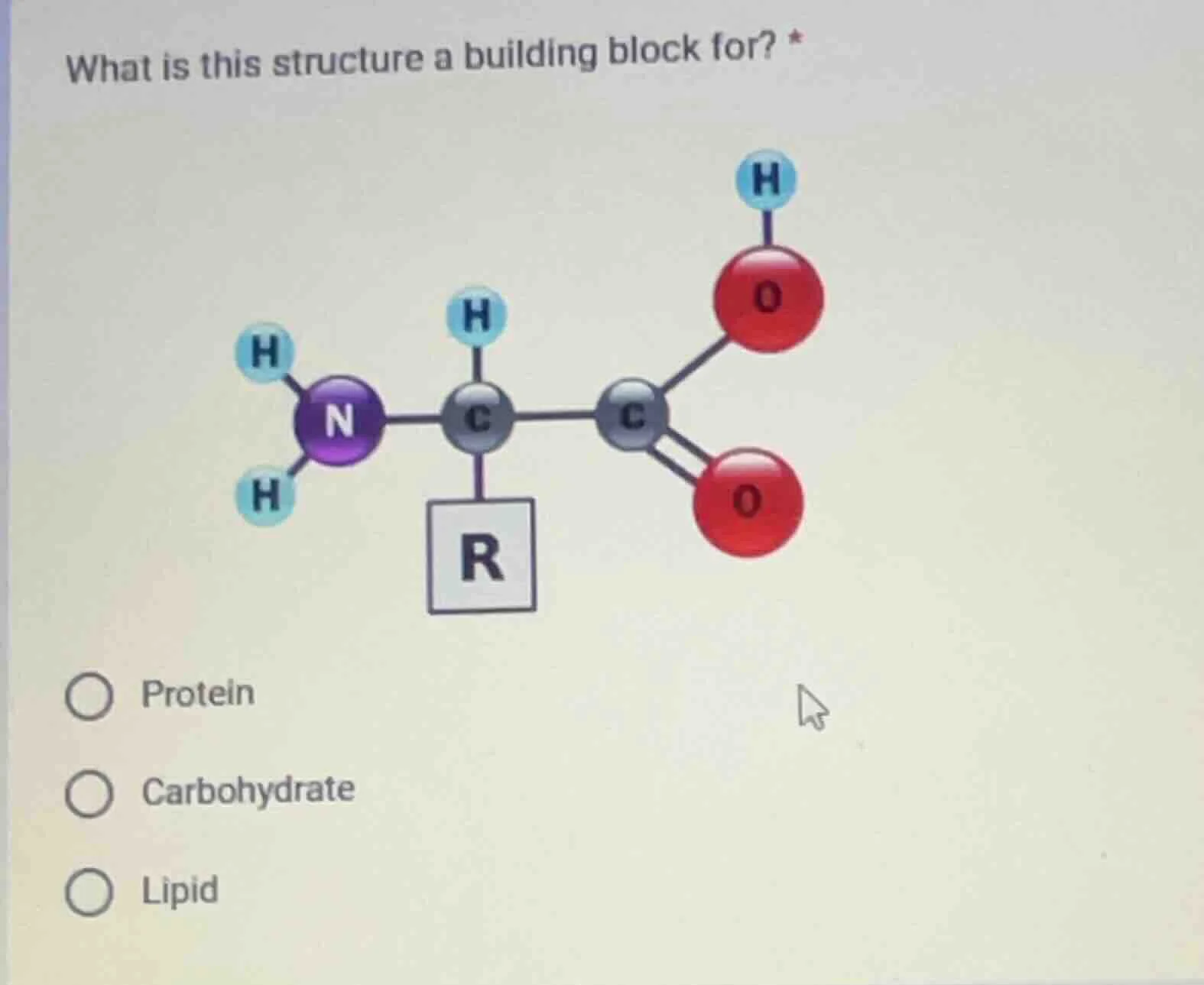 what is this structure a building block for? * options: ○ protein ○ car…