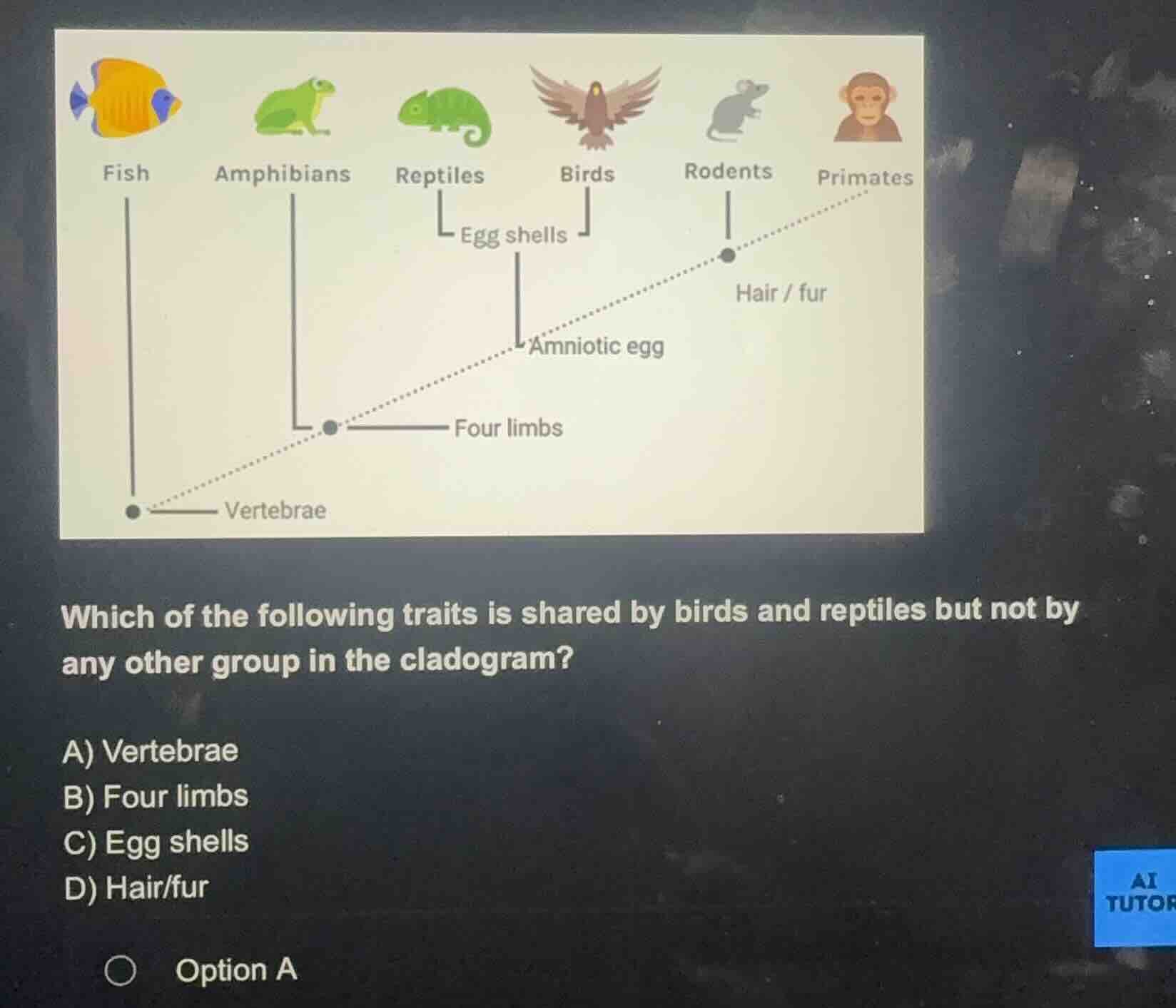 which of the following traits is shared by birds and reptiles but not b…