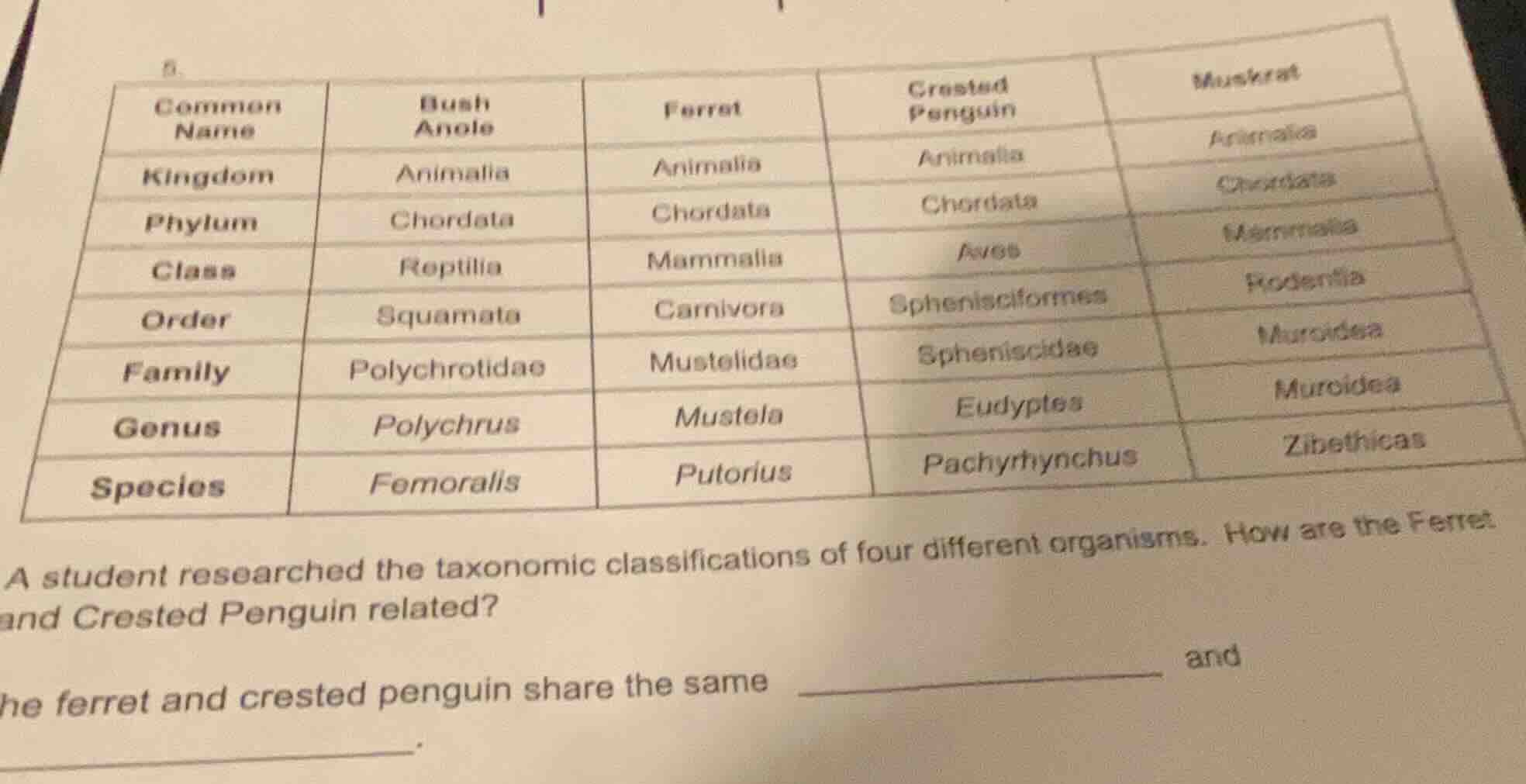 a student researched the taxonomic classifications of four different or…