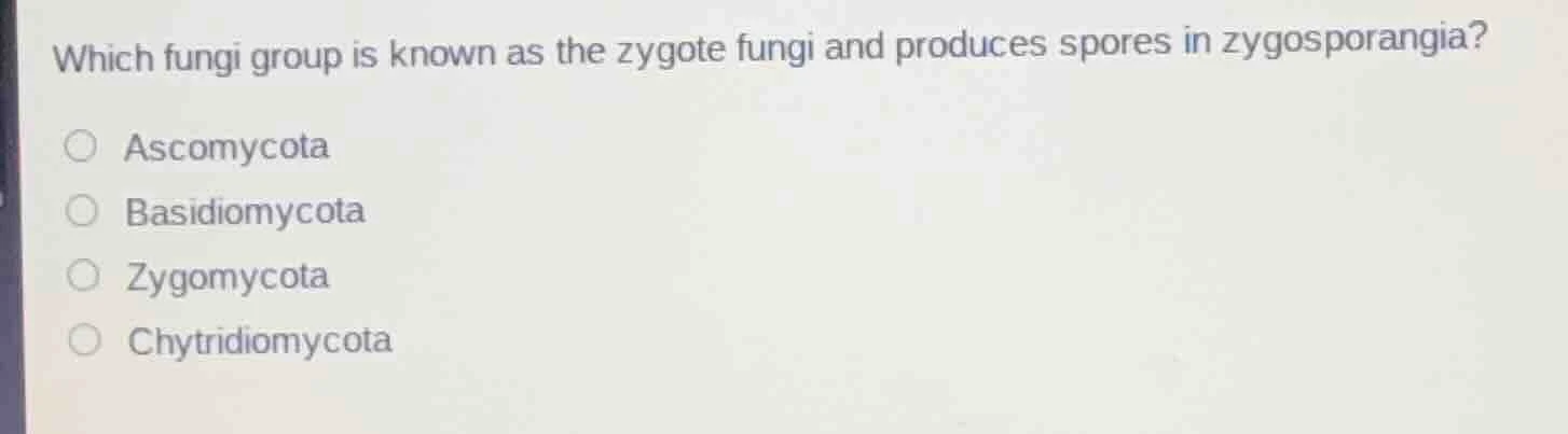 which fungi group is known as the zygote fungi and produces spores in z…
