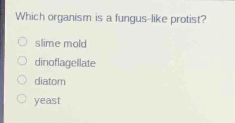 which organism is a fungus - like protist? slime mold dinoflagellate di…