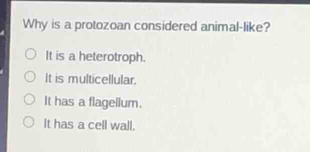 why is a protozoan considered animal - like? it is a heterotroph. it is…