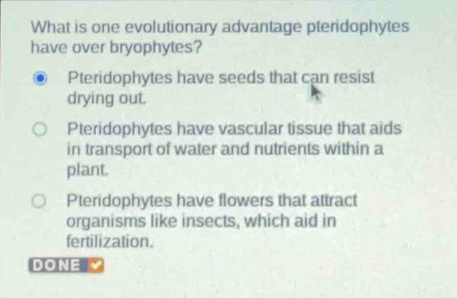 what is one evolutionary advantage pteridophytes have over bryophytes? …