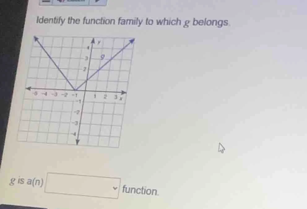 identify the function family to which g belongs. g is a(n) \\boxed{} fu…
