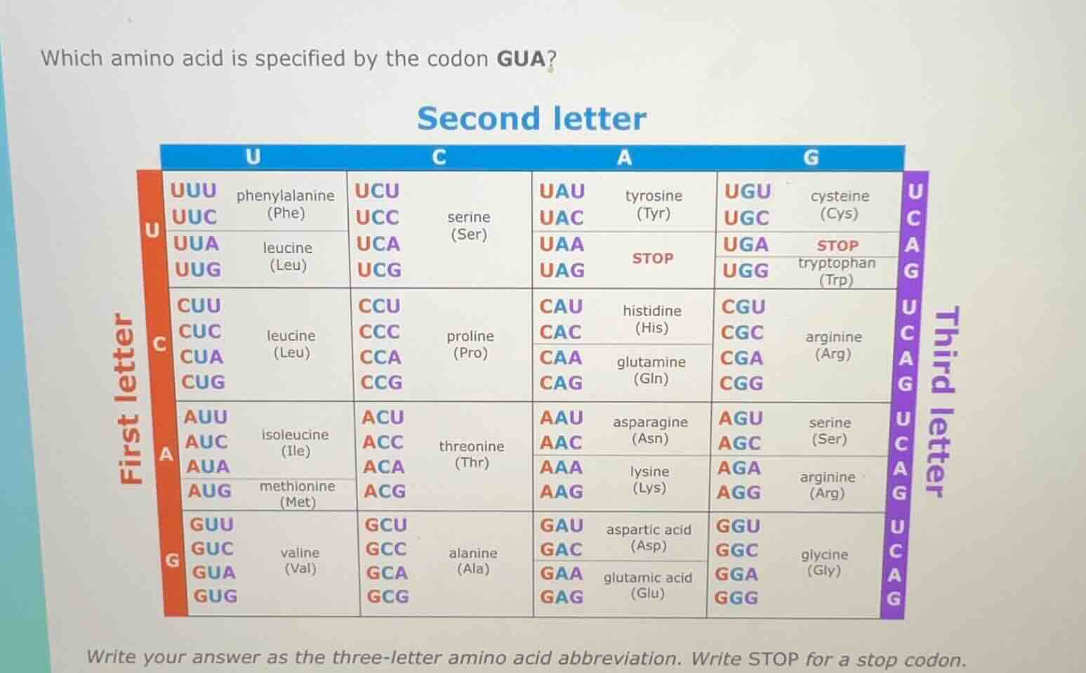 which amino acid is specified by the codon gua? second letter first let…