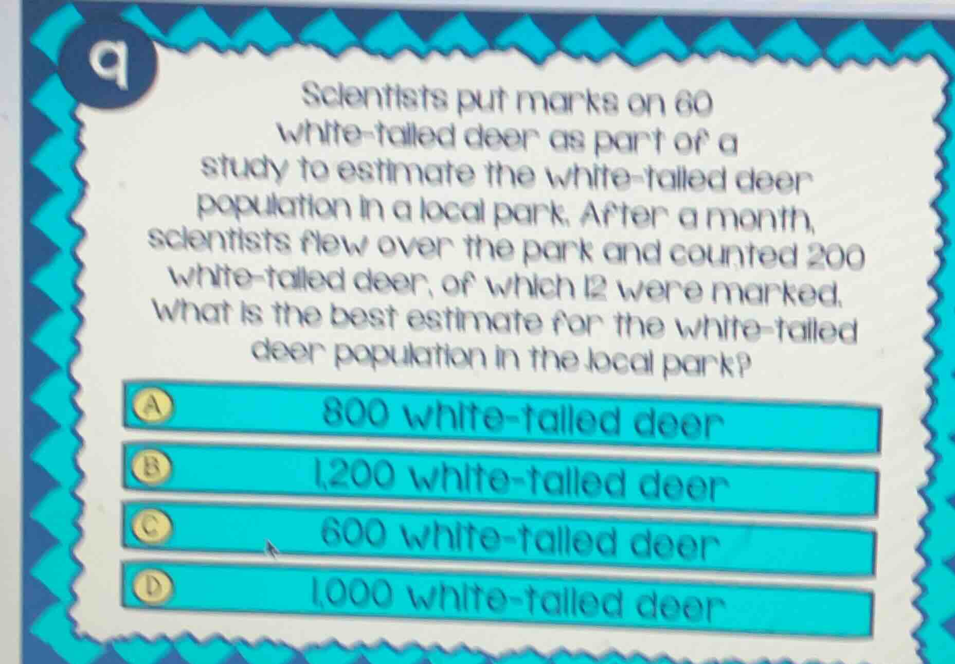 scientists put marks on 60 white - tailed deer as part of a study to es…