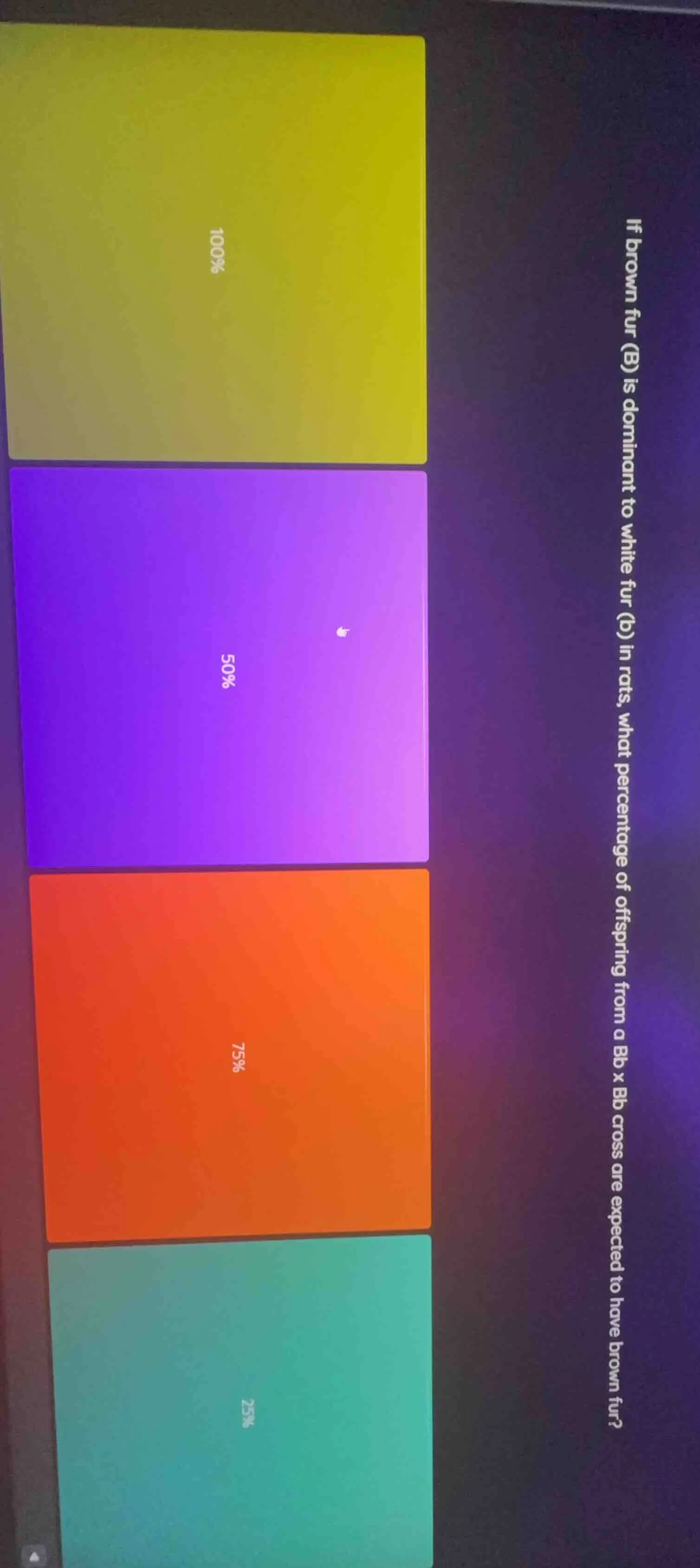 if brown fur (b) is dominant to white fur (b) in rats, what percentage …