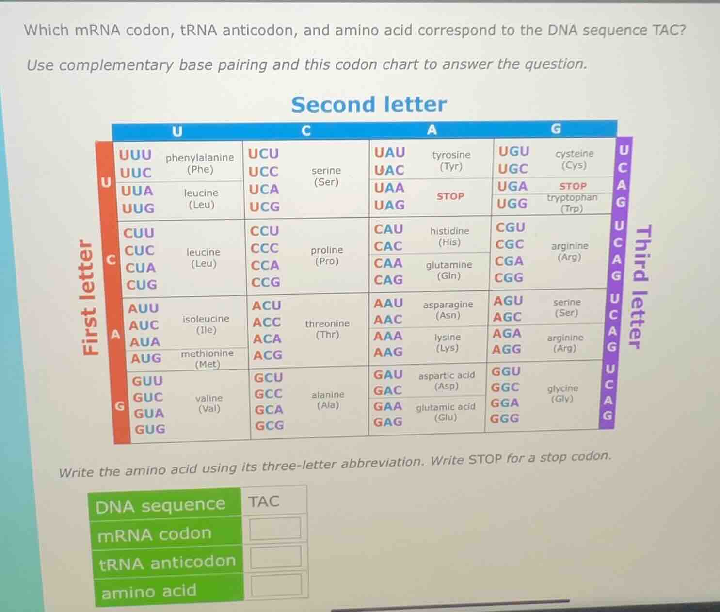 which mrna codon, trna anticodon, and amino acid correspond to the dna …