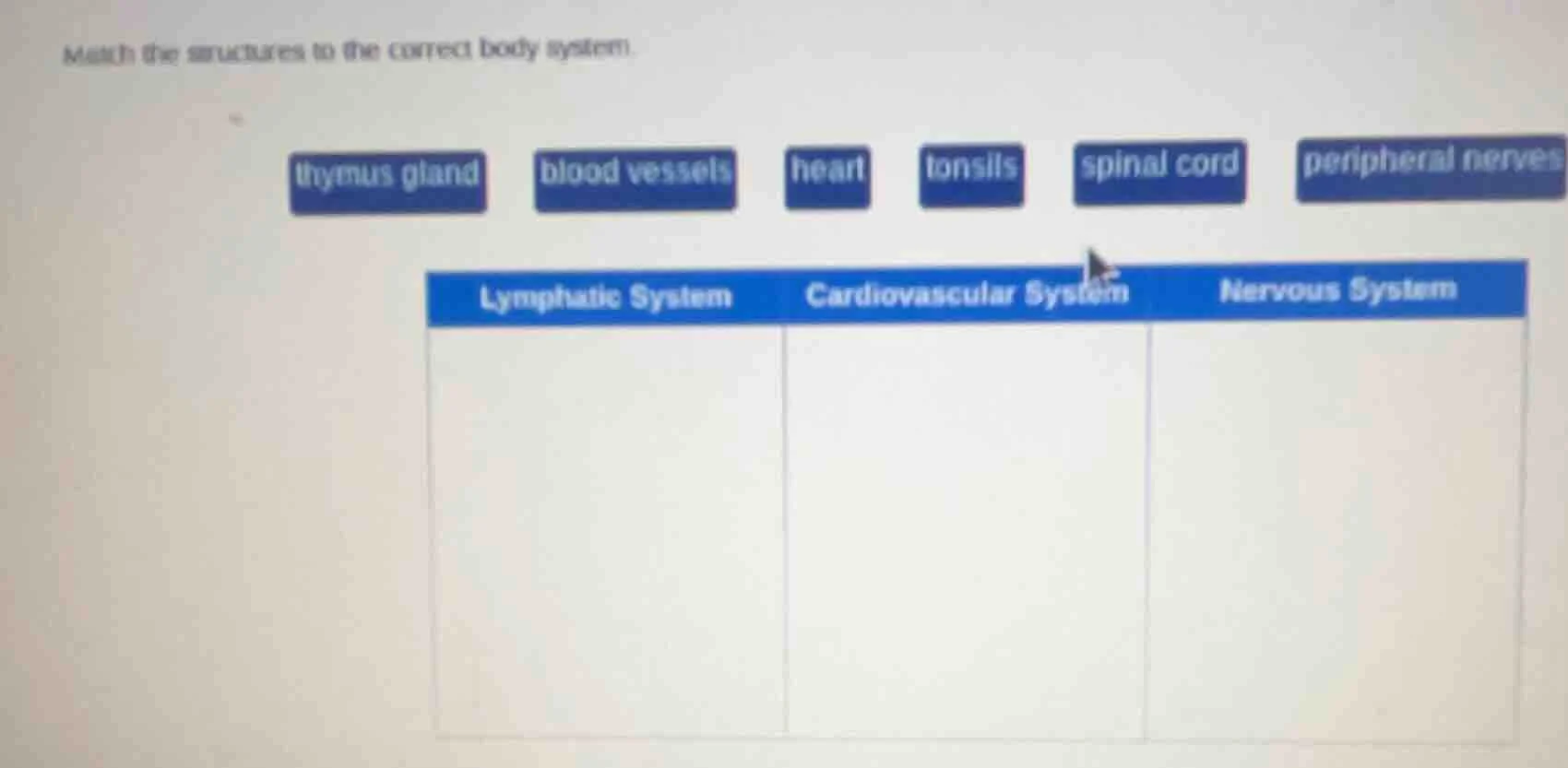 match the structures to the correct body system. thymus gland blood ves…