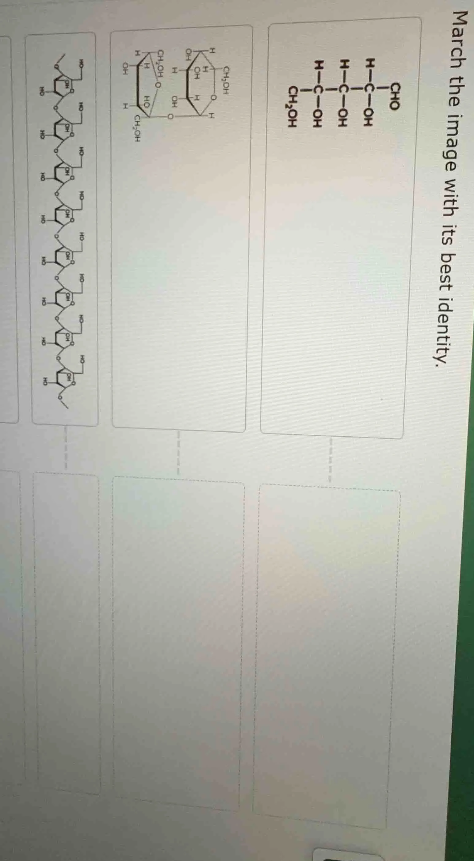 march the image with its best identity.