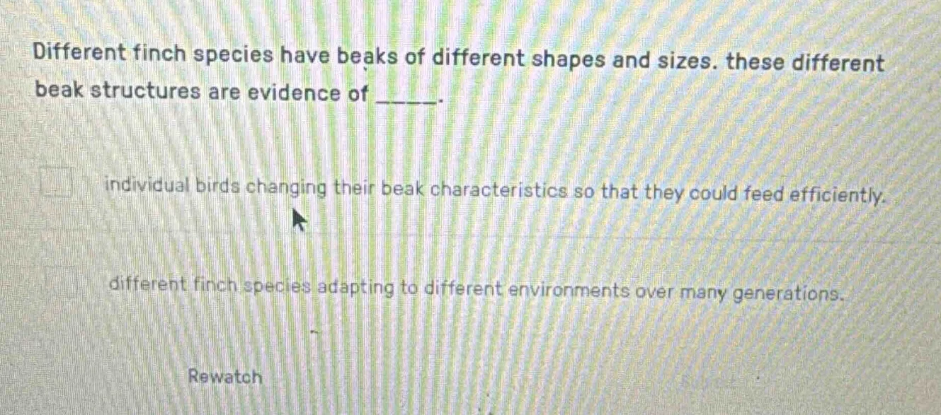 different finch species have beaks of different shapes and sizes. these…