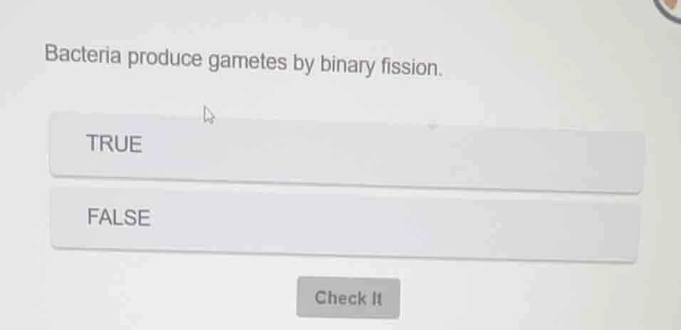 bacteria produce gametes by binary fission. true false check it