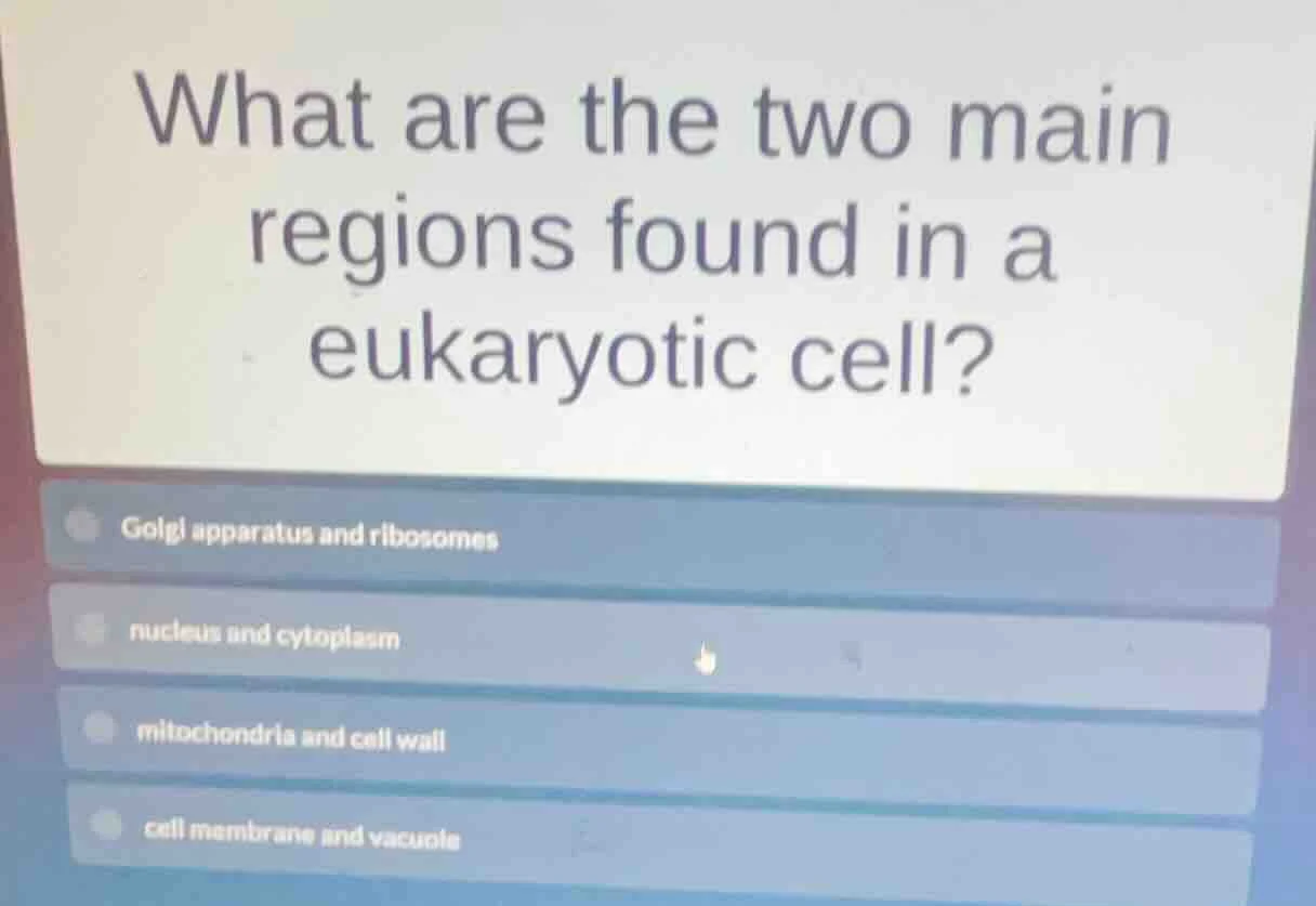 what are the two main regions found in a eukaryotic cell? golgi apparat…