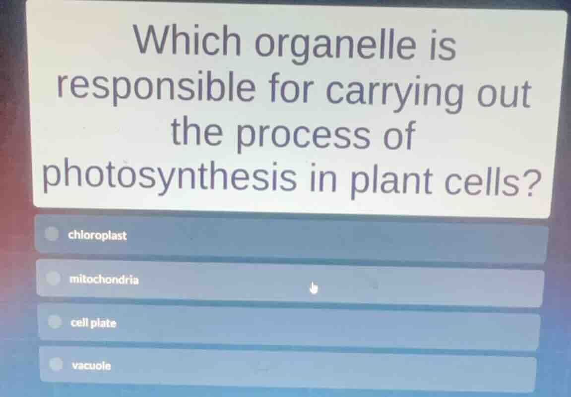 which organelle is responsible for carrying out the process of photosyn…