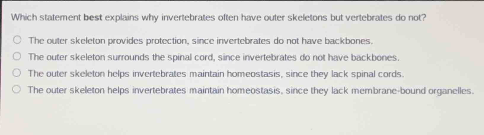 which statement best explains why invertebrates often have outer skelet…