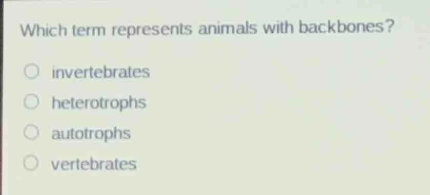 which term represents animals with backbones? ○ invertebrates ○ heterot…