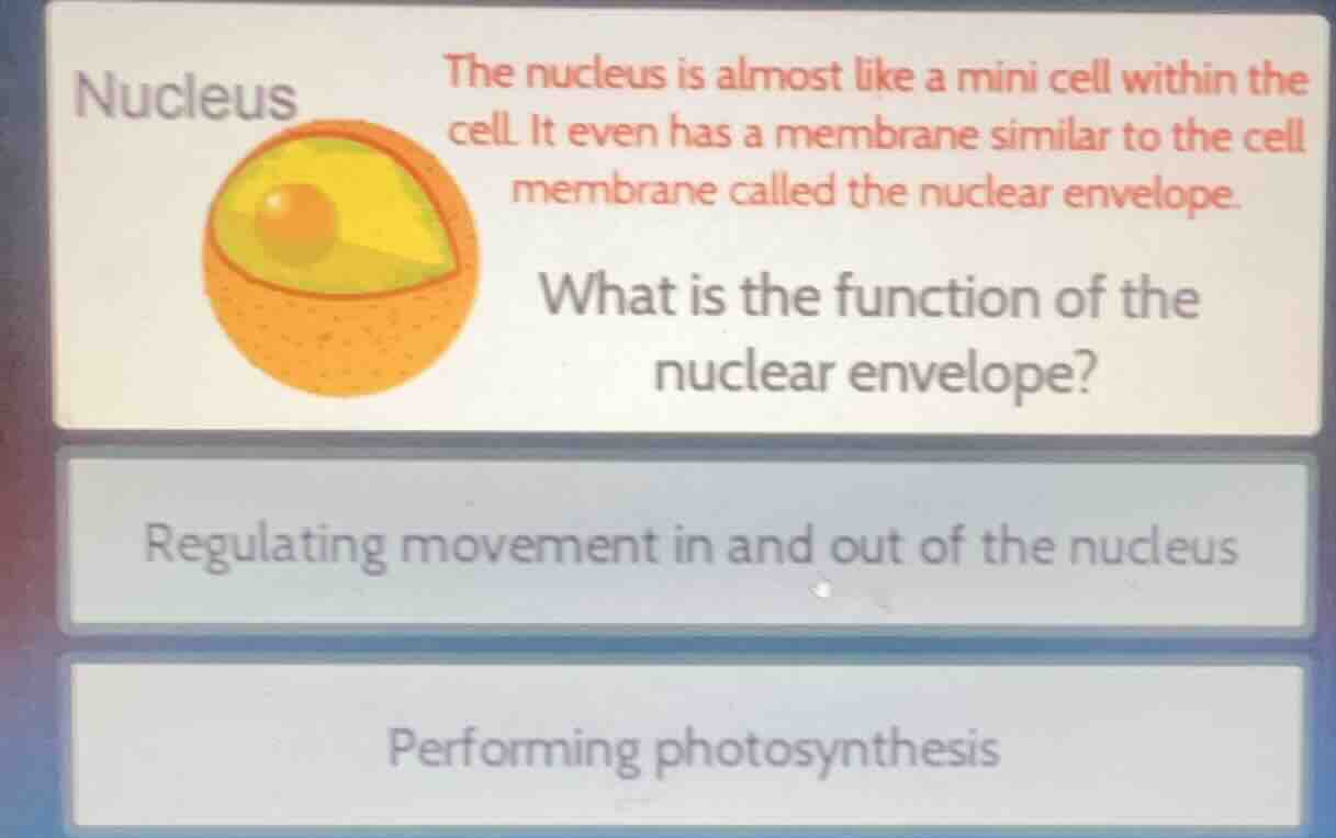 nucleus the nucleus is almost like a mini cell within the cell. it even…