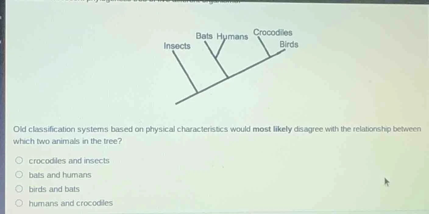 old classification systems based on physical characteristics would most…
