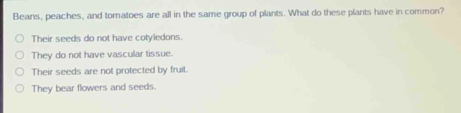 beans, peaches, and tomatoes are all in the same group of plants. what …