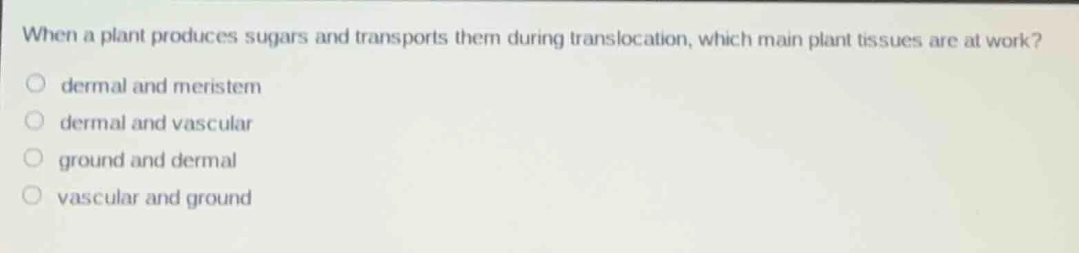 when a plant produces sugars and transports them during translocation, …