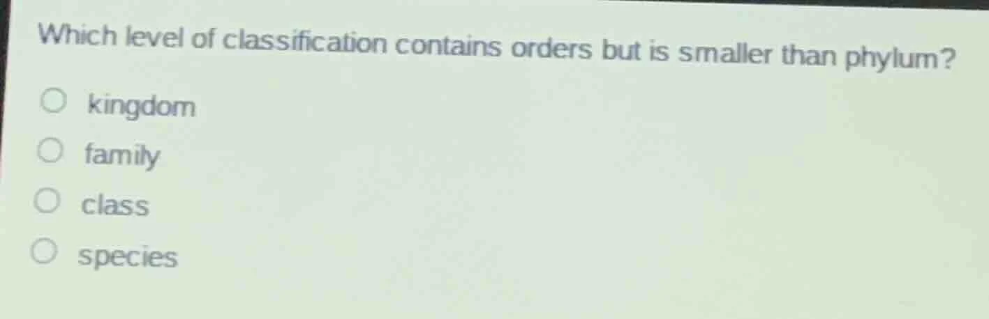 which level of classification contains orders but is smaller than phylu…