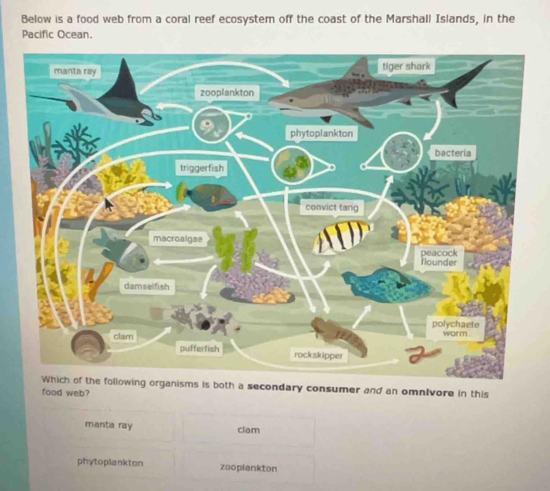 below is a food web from a coral reef ecosystem off the coast of the ma…