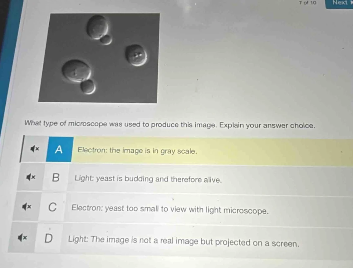 what type of microscope was used to produce this image. explain your an…