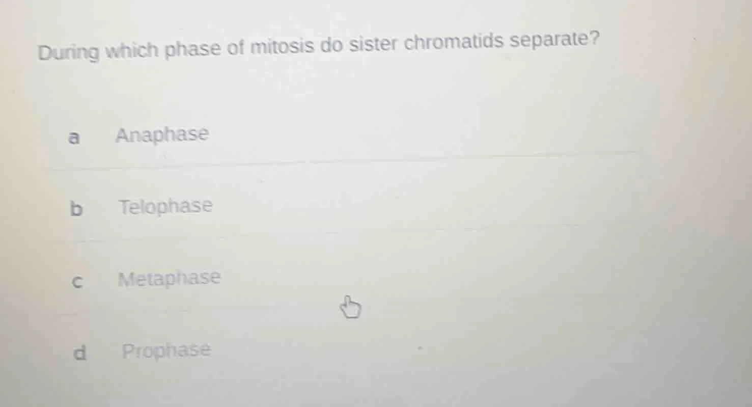 during which phase of mitosis do sister chromatids separate? a anaphase…