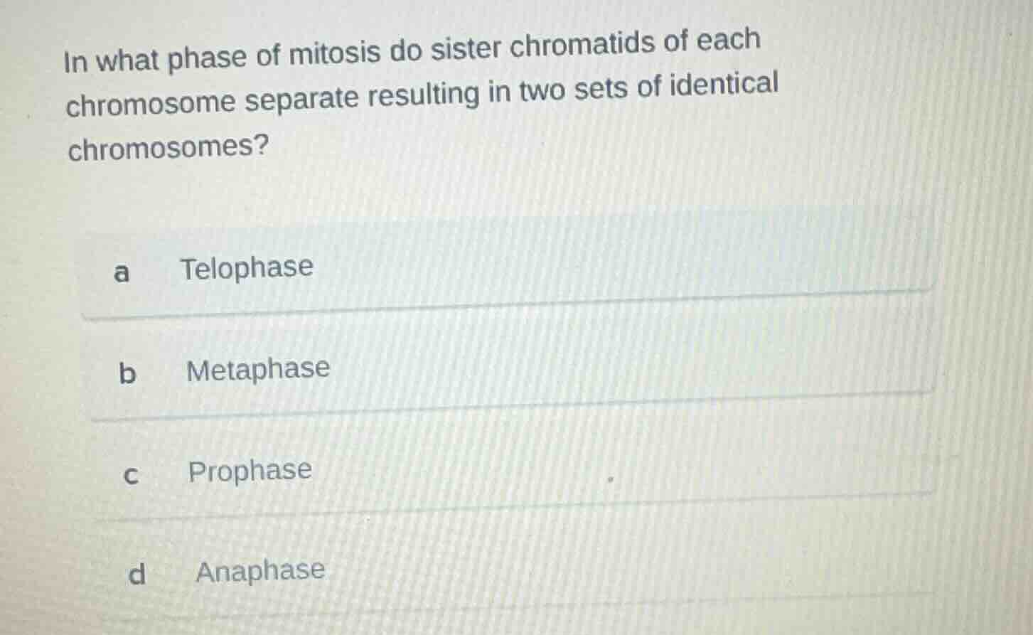 in what phase of mitosis do sister chromatids of each chromosome separa…