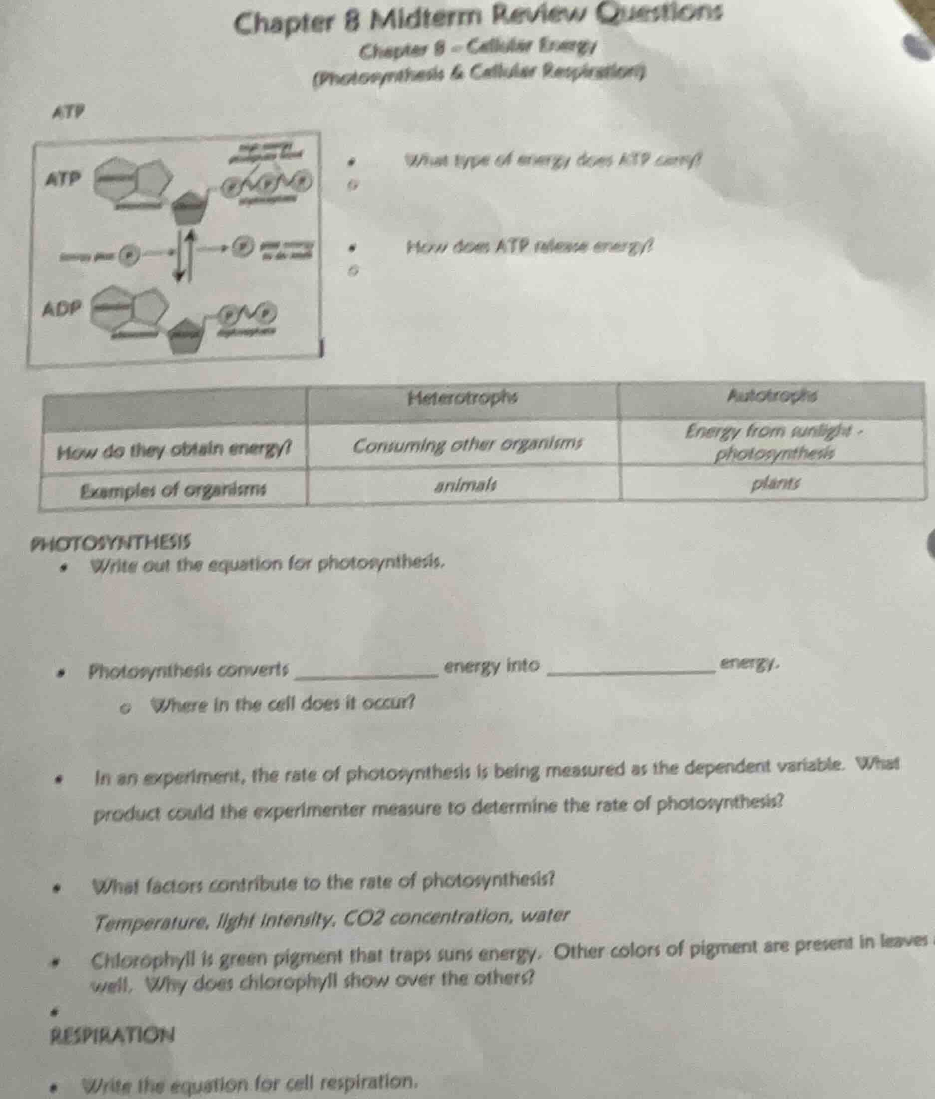 chapter 8 midterm review questions chapter 8 - cellular energy (photosy…