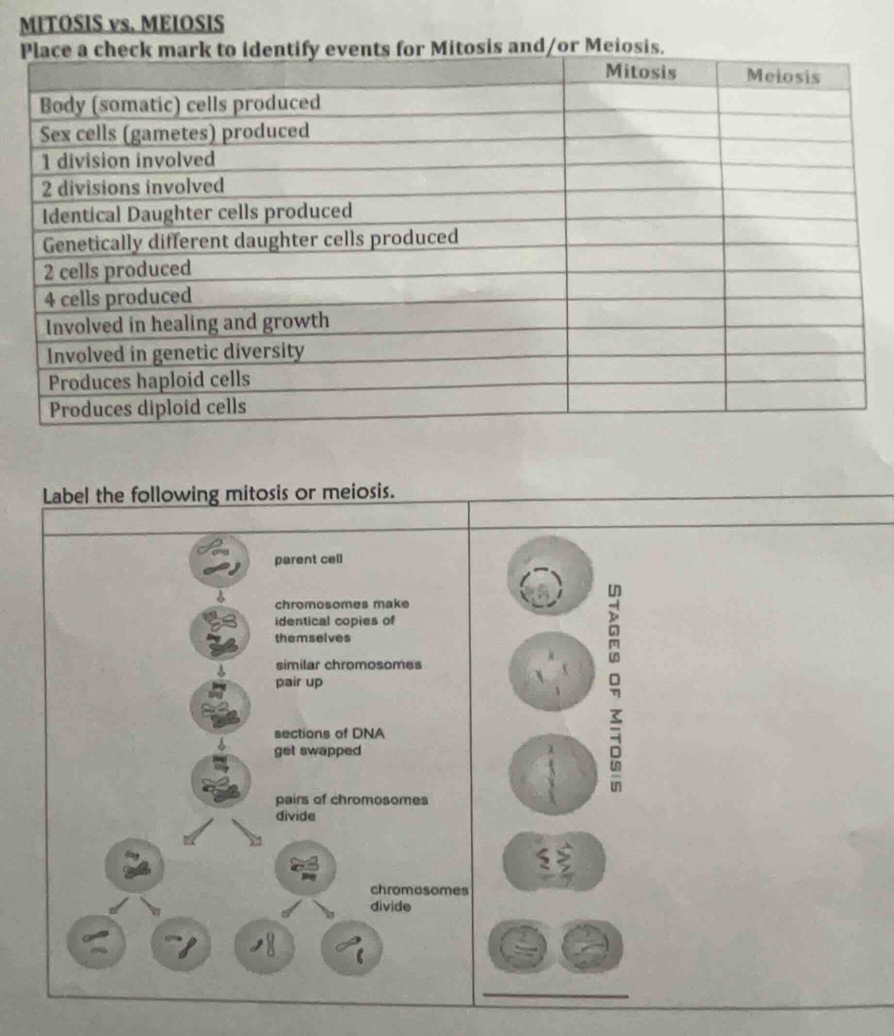 mitosis vs. meiosis place a check mark to identify events for mitosis a…
