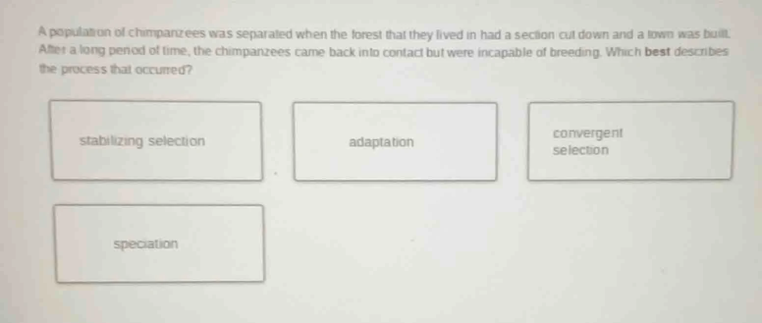 a population of chimpanzees was separated when the forest that they liv…