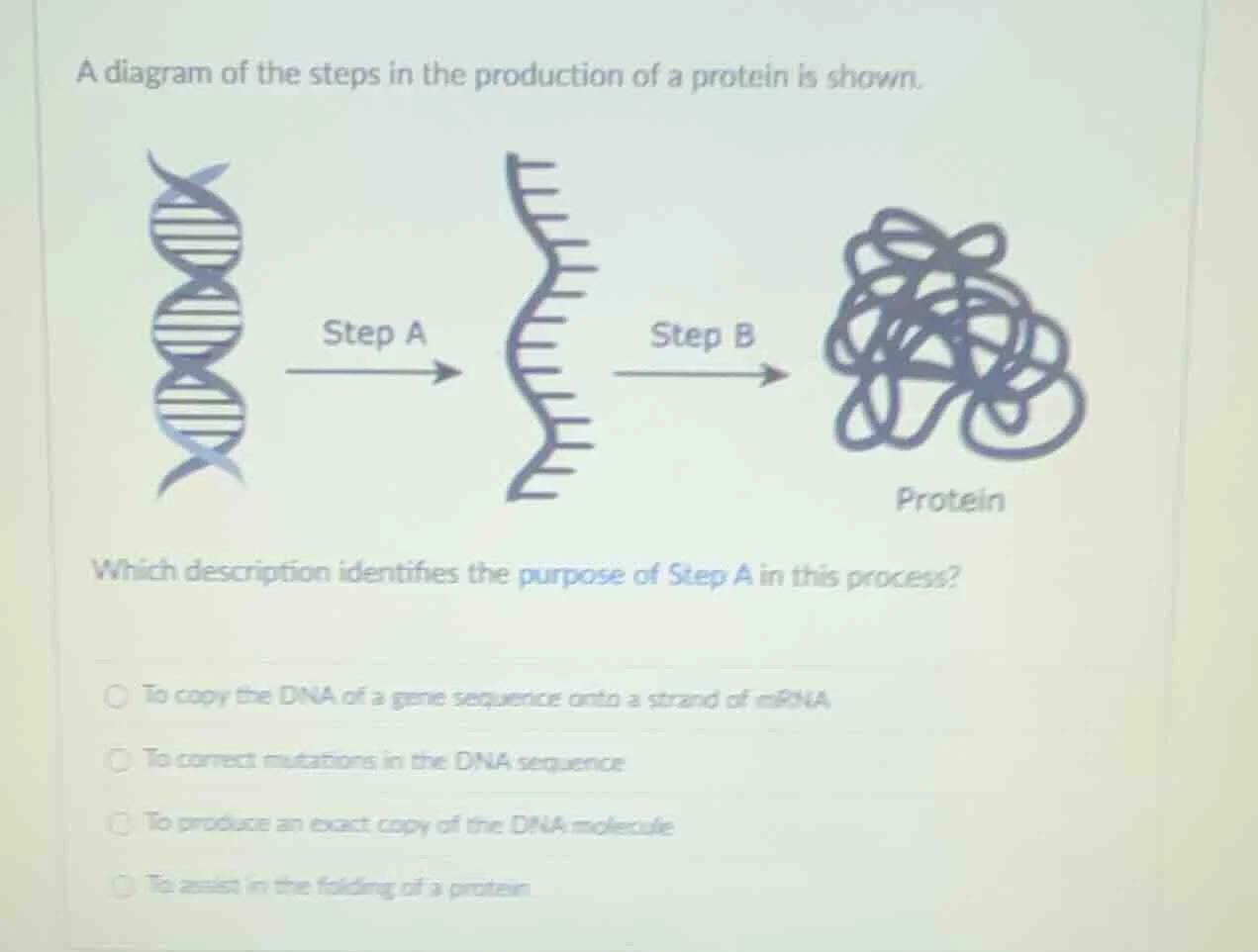 a diagram of the steps in the production of a protein is shown. which d…
