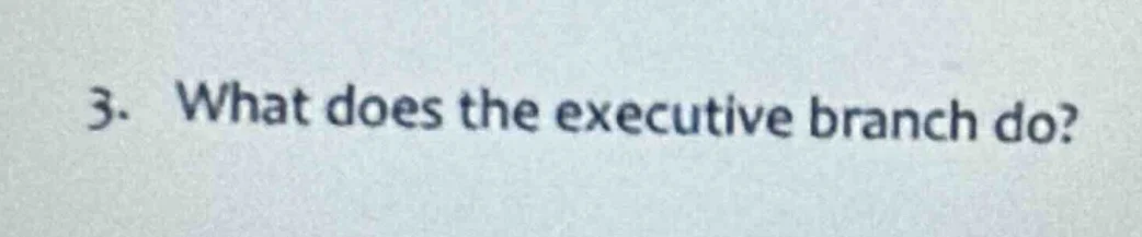 3. what does the executive branch do?