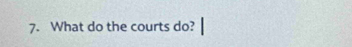 7. what do the courts do?