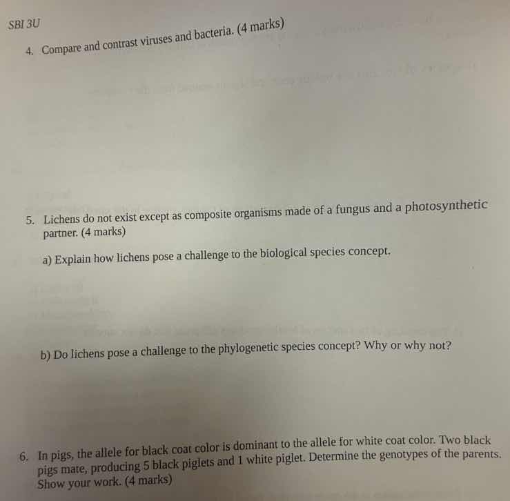sbi 3u 4. compare and contrast viruses and bacteria. (4 marks) 5. liche…