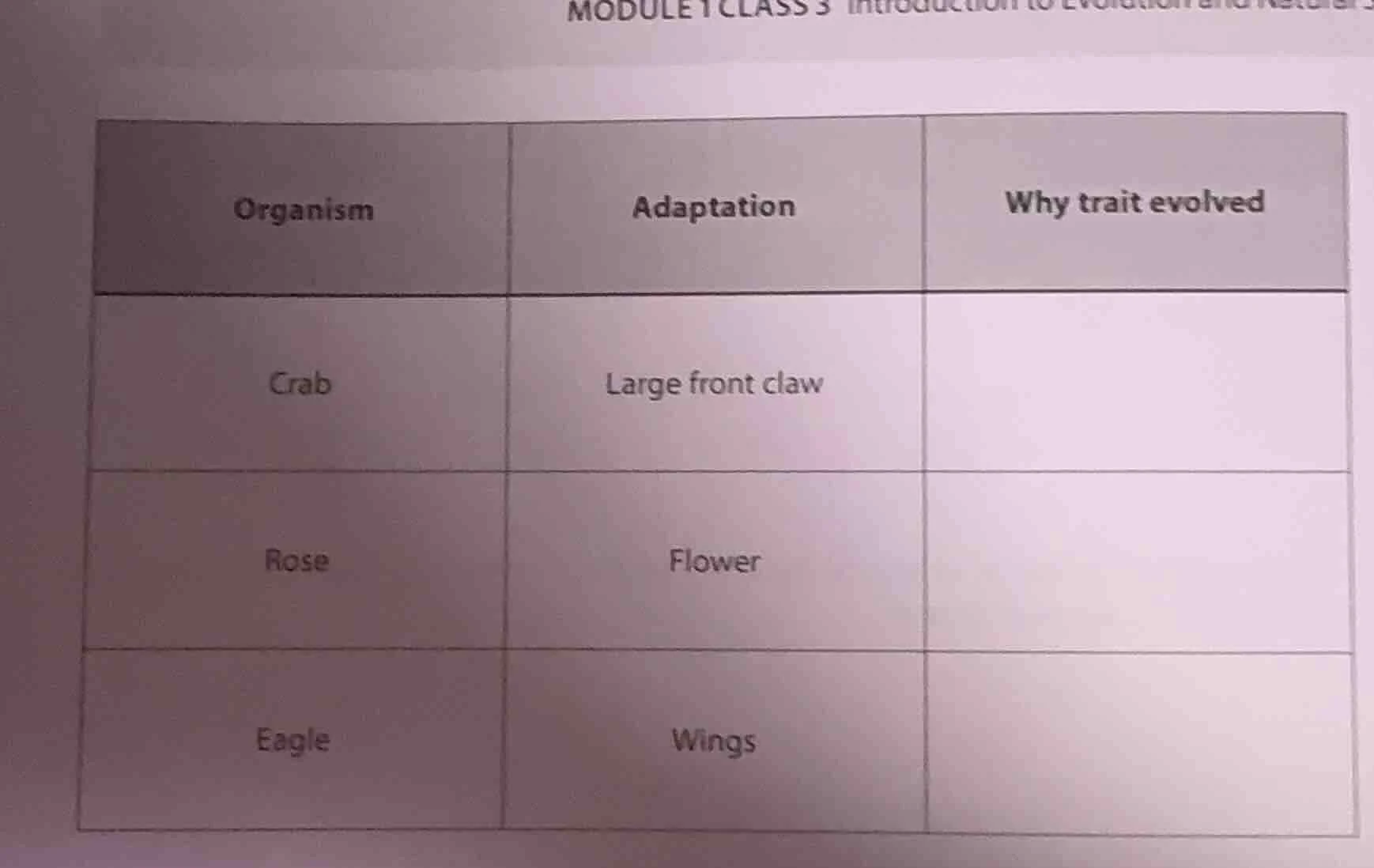 organism, adaptation, why trait evolved; crab, large front claw, ; rose…