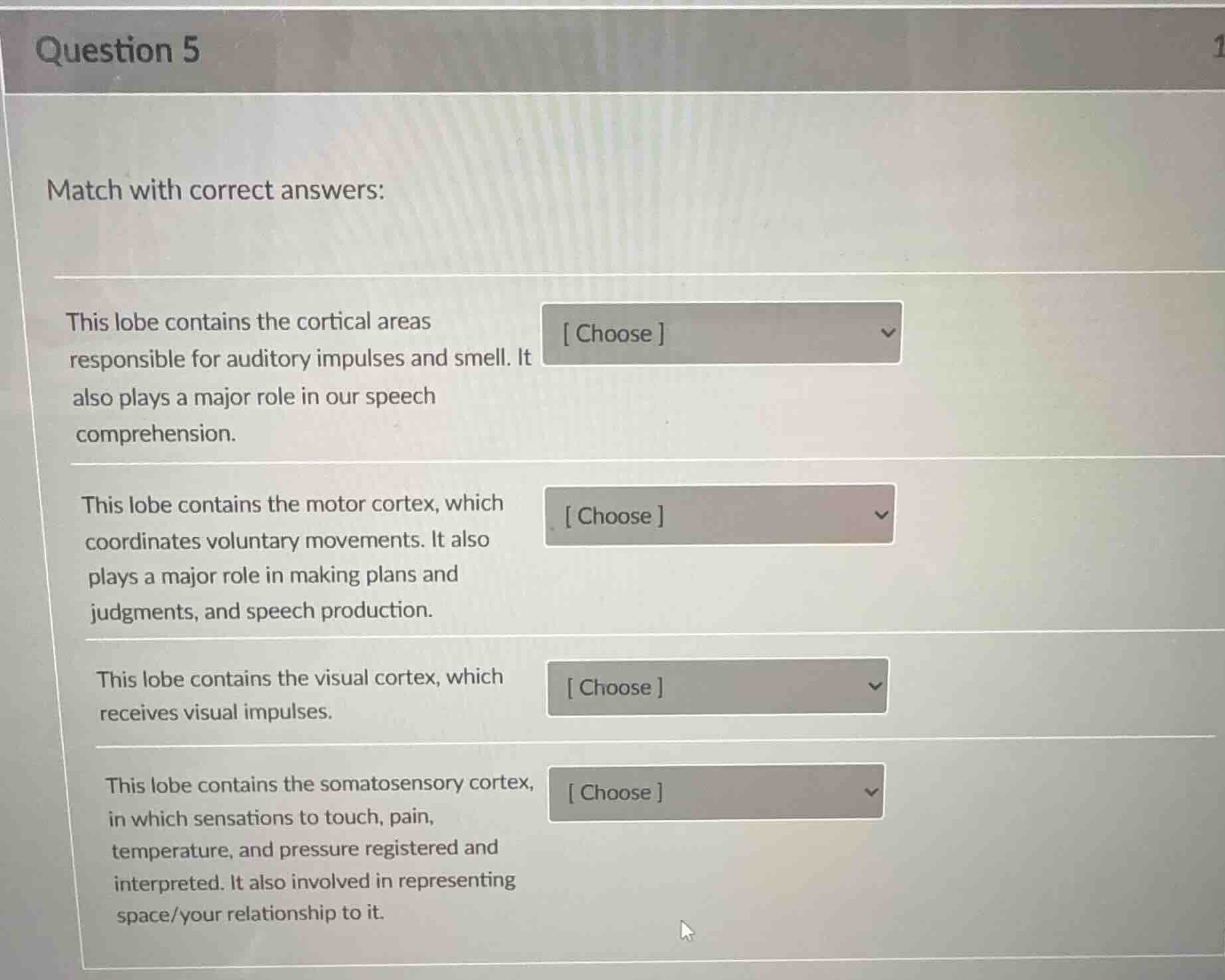 question 5 match with correct answers: this lobe contains the cortical …