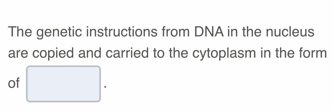 the genetic instructions from dna in the nucleus are copied and carried…
