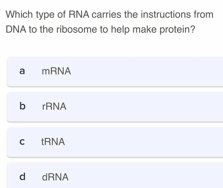 which type of rna carries the instructions from dna to the ribosome to …