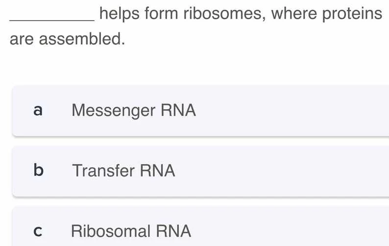 ________ helps form ribosomes, where proteins are assembled. a messenge…